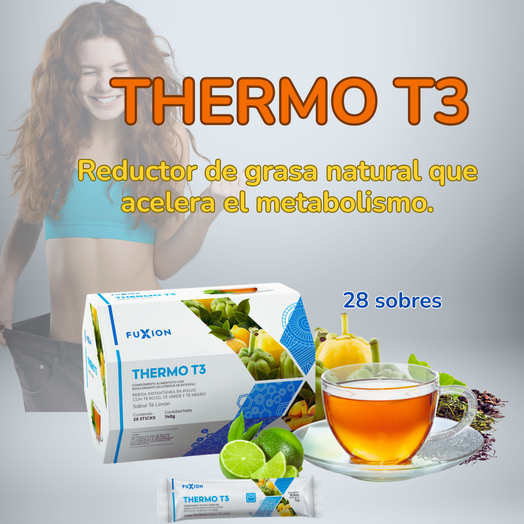 THERMO T3