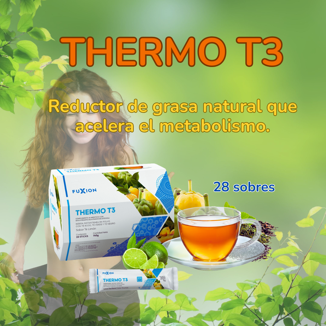 THERMO T3